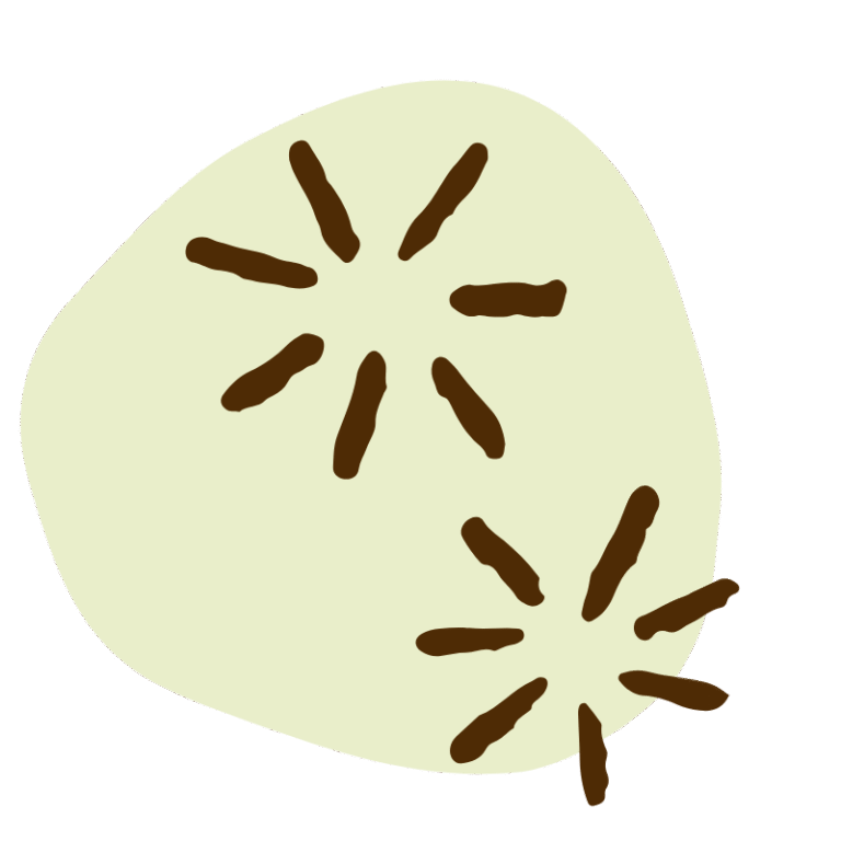 Drawing of two starburst