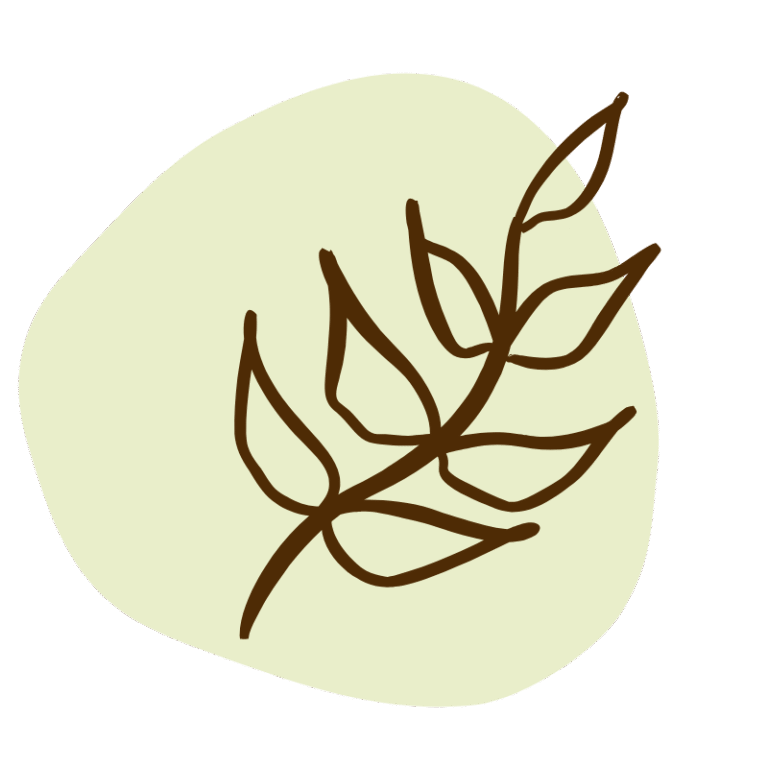 Drawing of a leaf growing