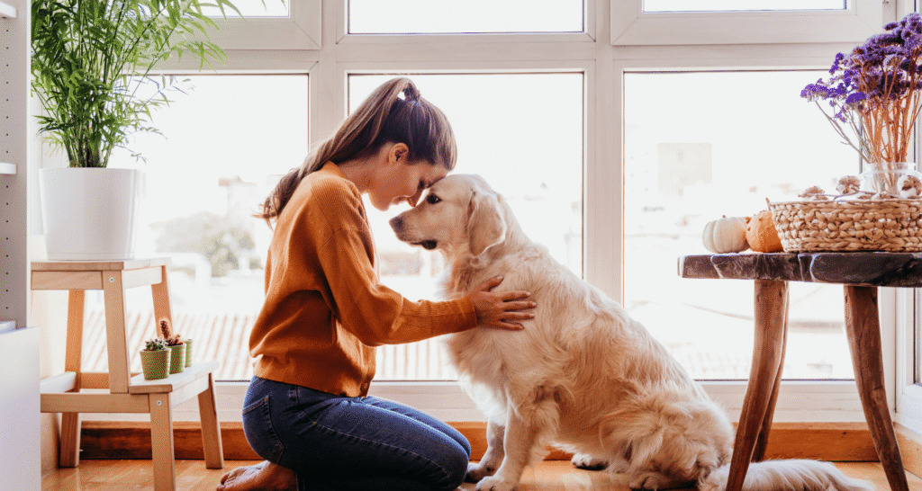 Pet grief counseling online