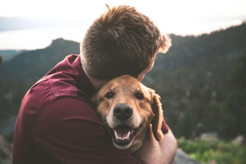 The Pet Loss Doctor