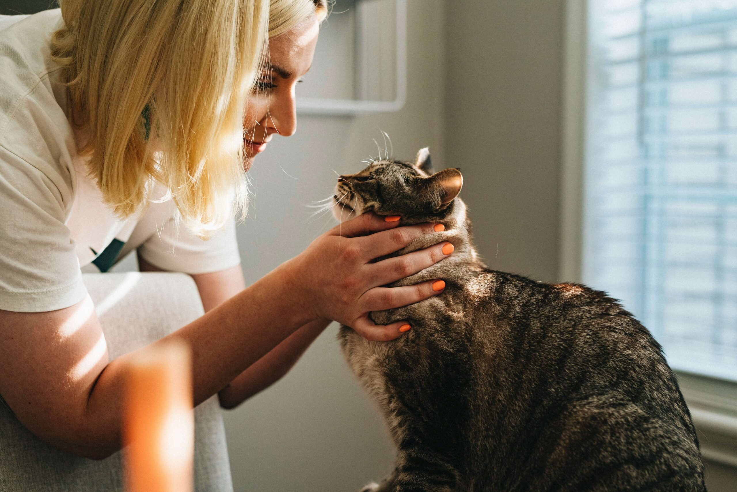 Grieving the Loss of your Pet